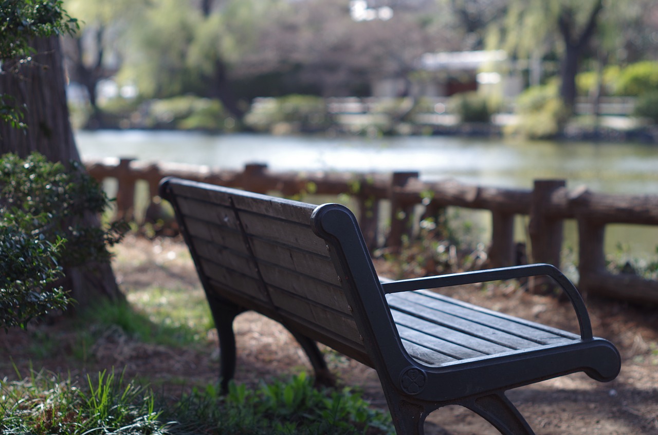 chair pond unattended free photo