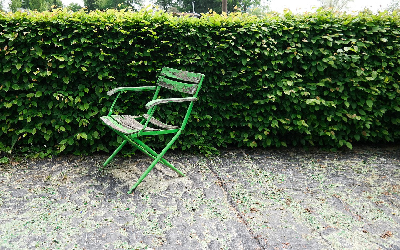 chair garden green free photo