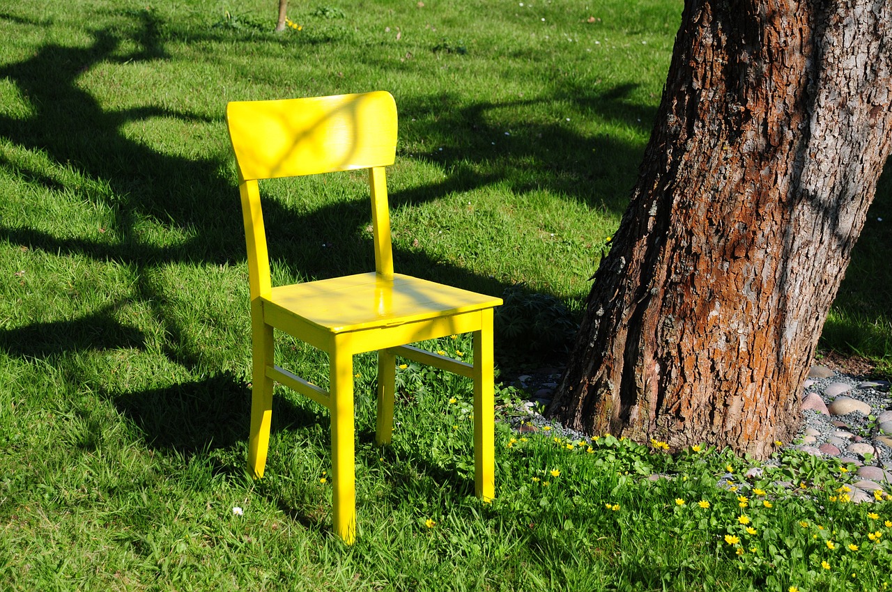 chair yellow nature free photo