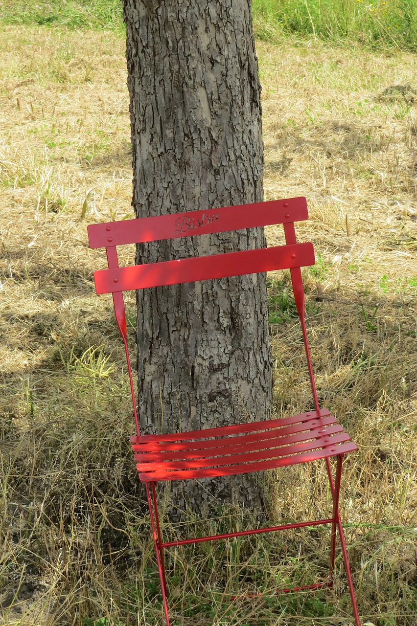 chair tree w free photo