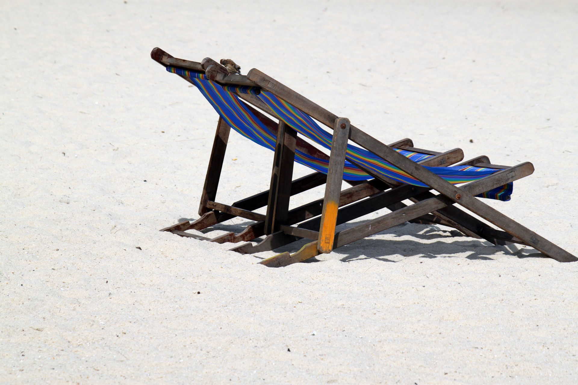 chair beach chair on the beach free photo