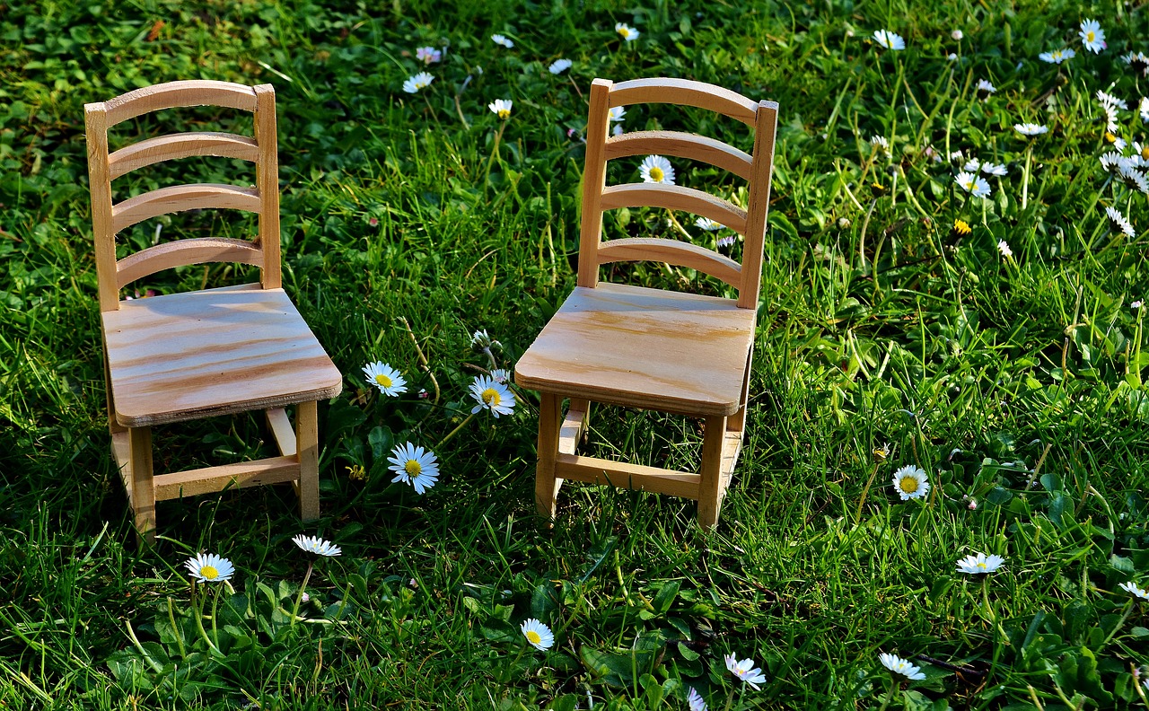 chairs meadow wood free photo