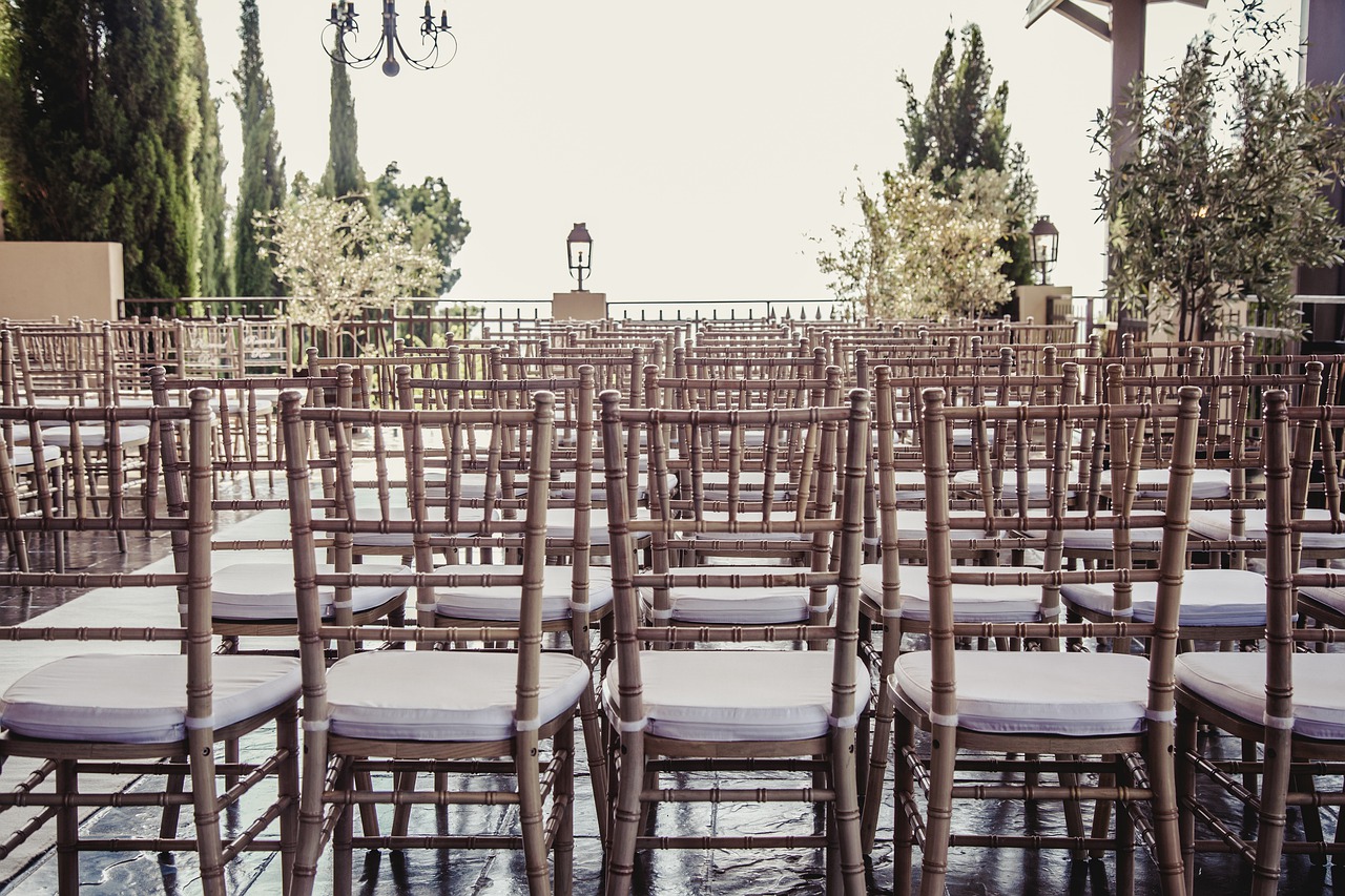 chairs  decor  trees free photo