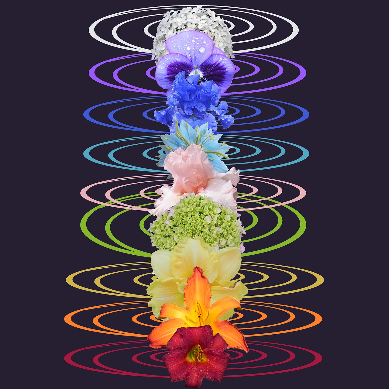 chakra spiritual flower free photo