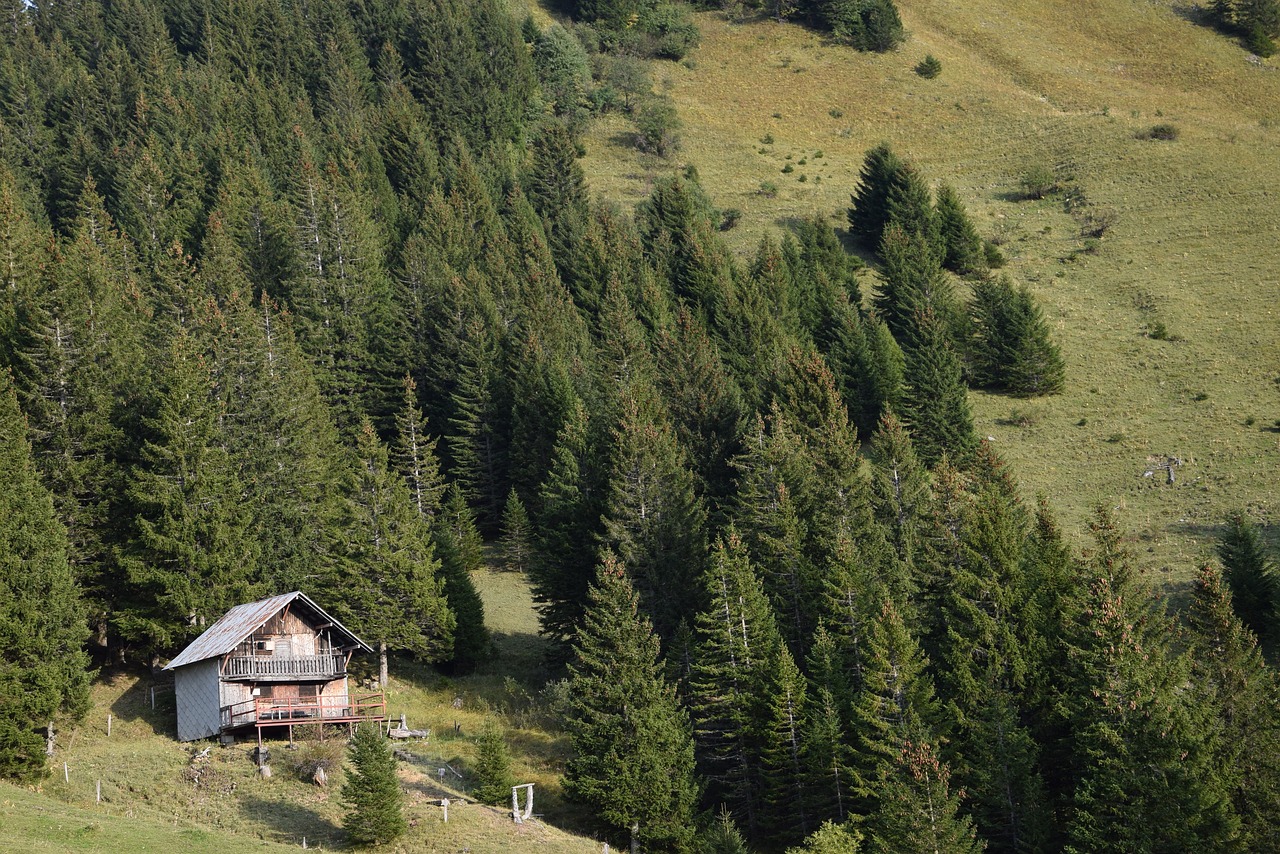 chalet mountain meadow free photo