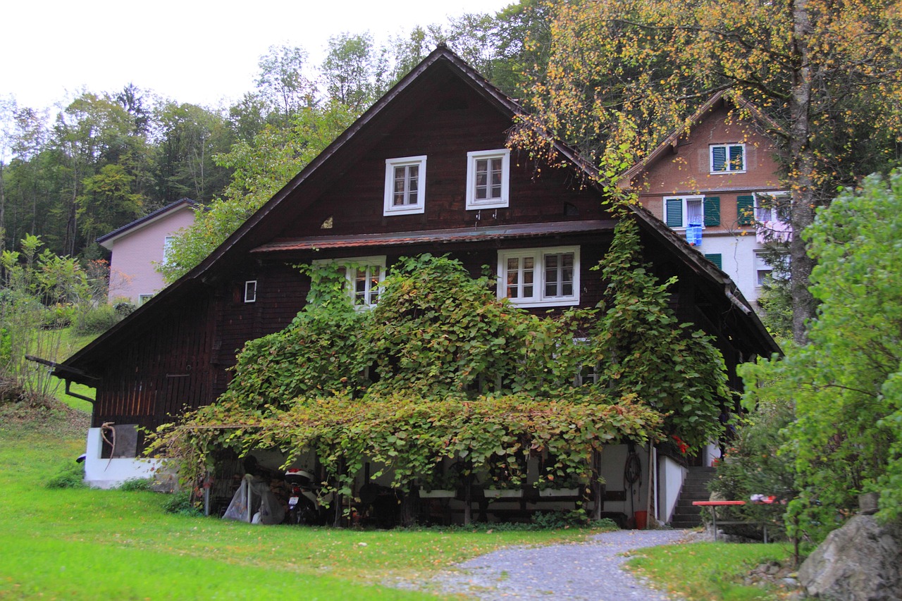 chalet mountain hut home free photo