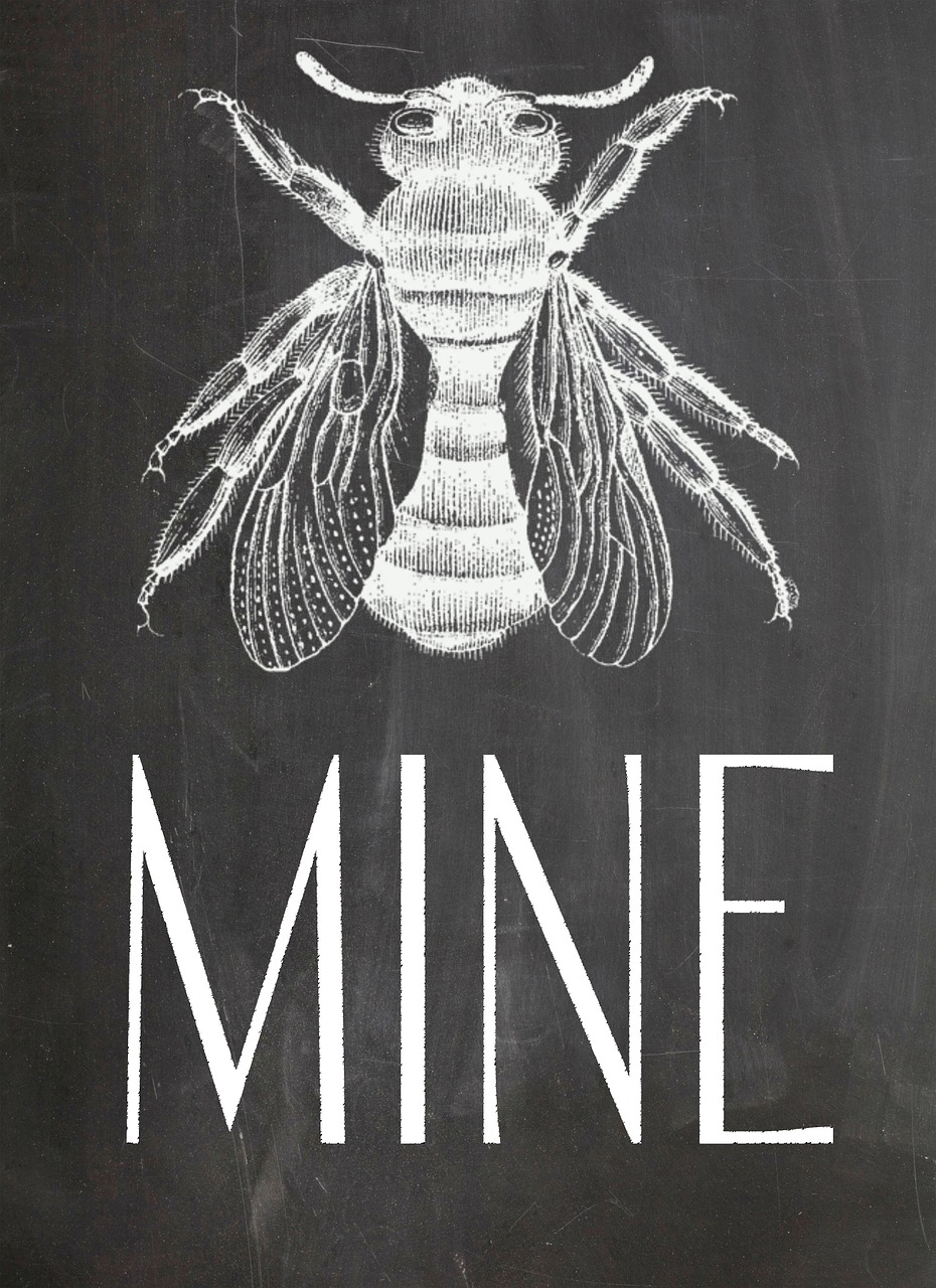 chalkboard bee blackboard free photo