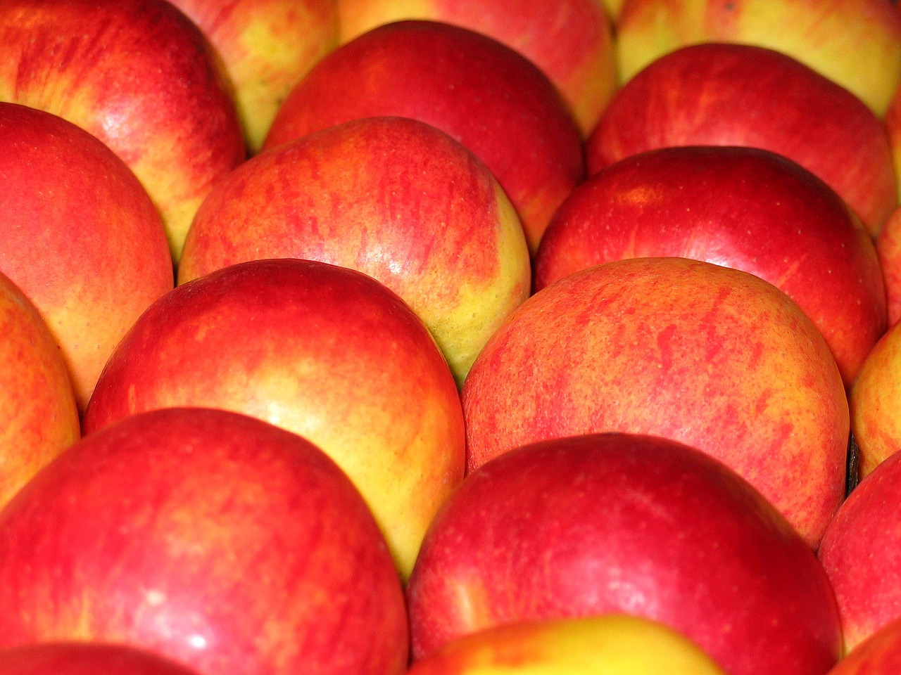 chalkboard apples apple breaburn free photo