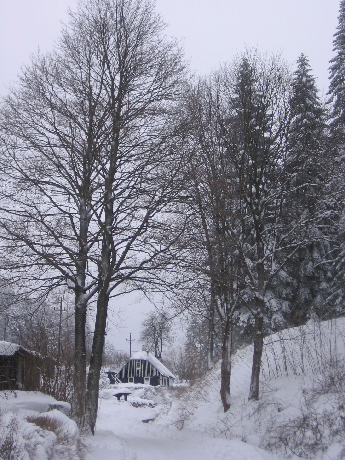 mountains cottage cottage in the distance free photo