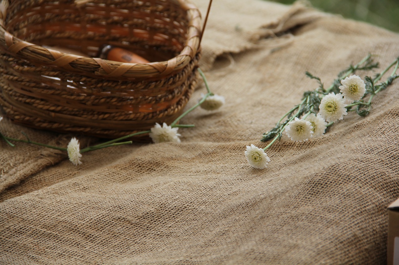 chamomile basket nature free photo