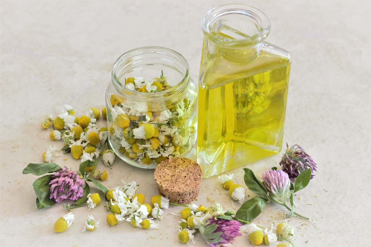 chamomile  oil  aromatherapy free photo
