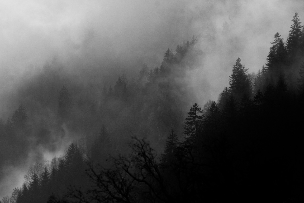 chamonix morning fog free photo