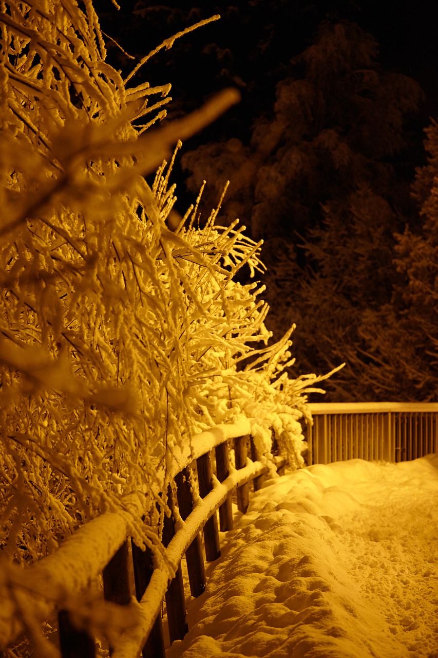 chamonix winter snowfall free photo