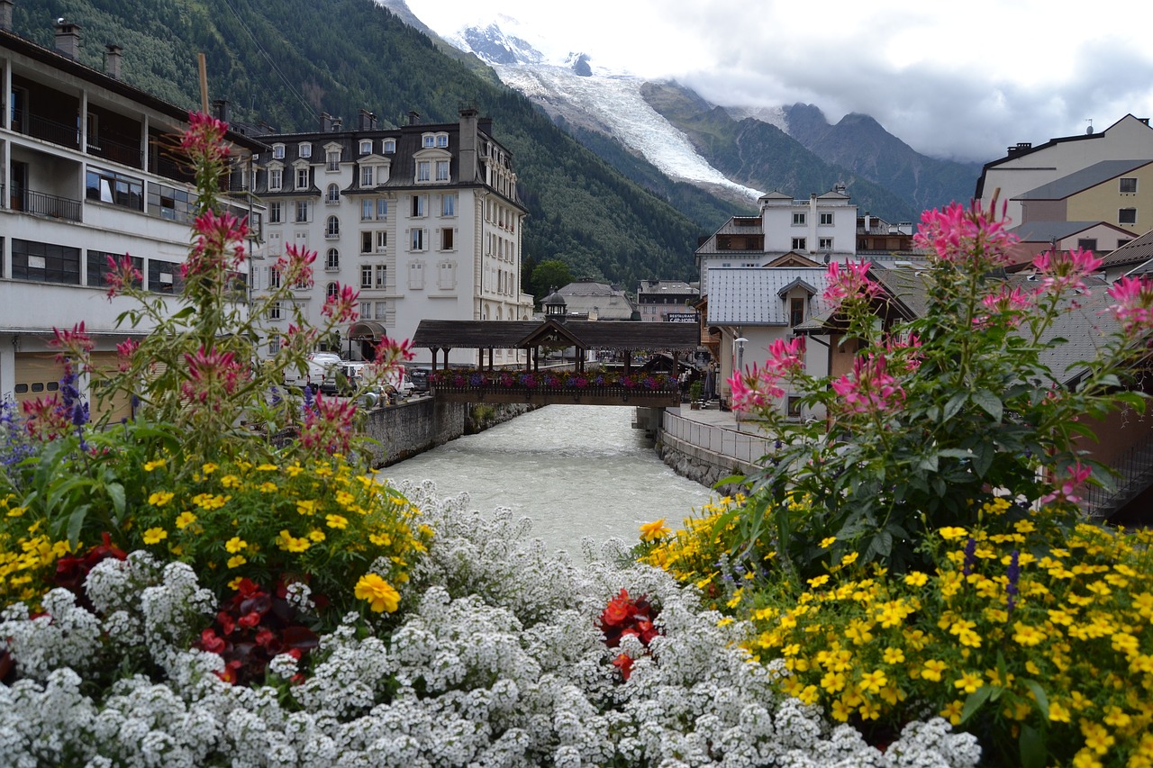 Chamonix,flowers,france,snow,rio - free image from needpix.com