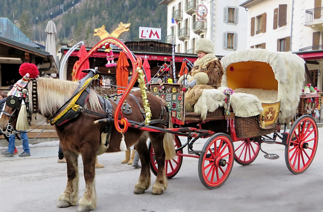 chamonix  carriage  hitch free photo