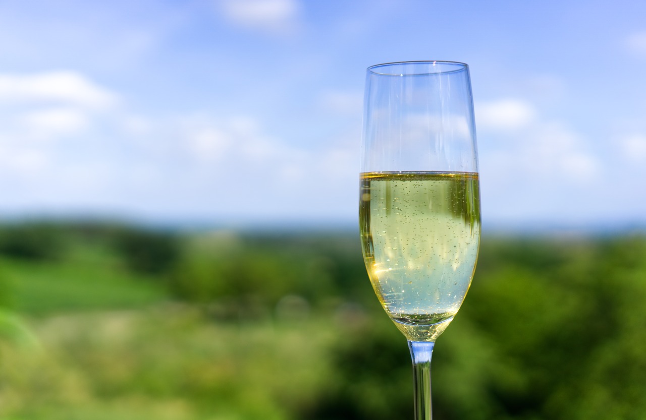 champagne  glass  alcohol free photo