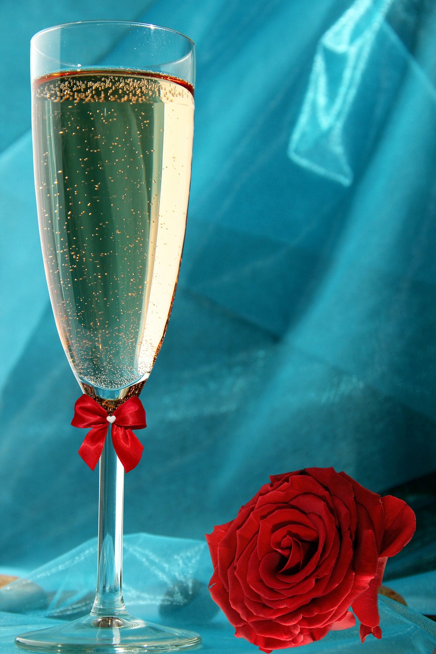 champagne  champagne glass  rose free photo