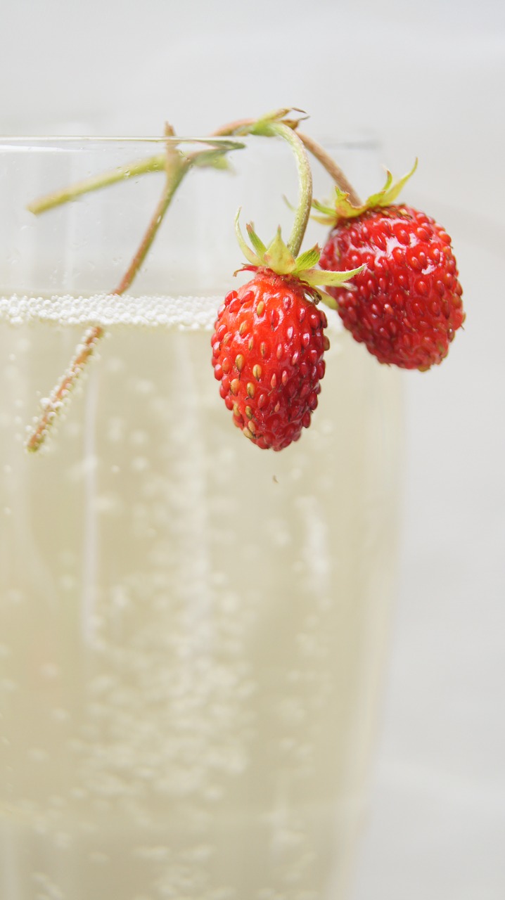 champagne  strawberries  food free photo