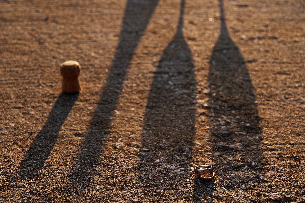 champagne  rings  shadow free photo