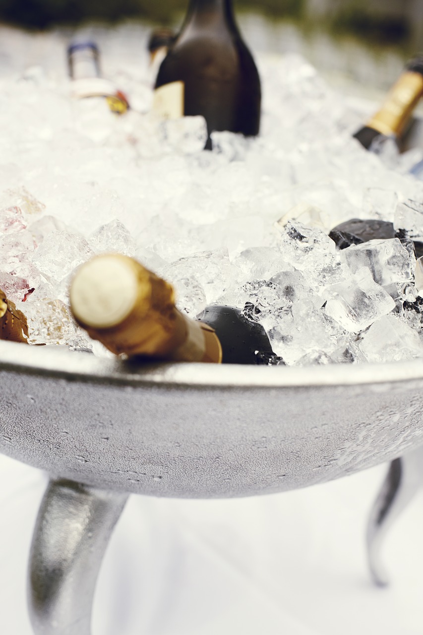 champagne cup champagne cooler champagne bucket free photo