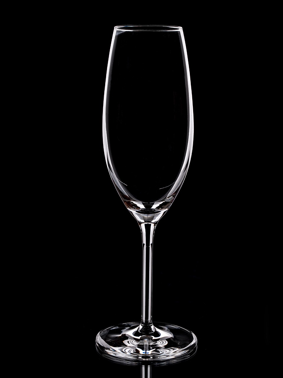 champagne glass  glass  drink free photo