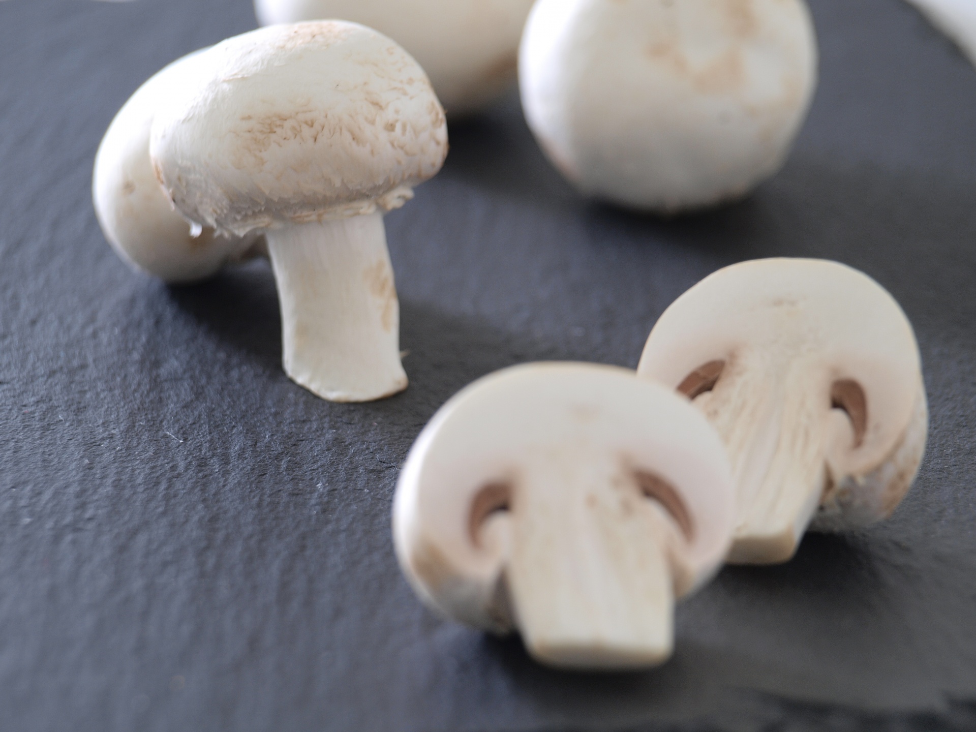 meadow fungi mushrooms free photo