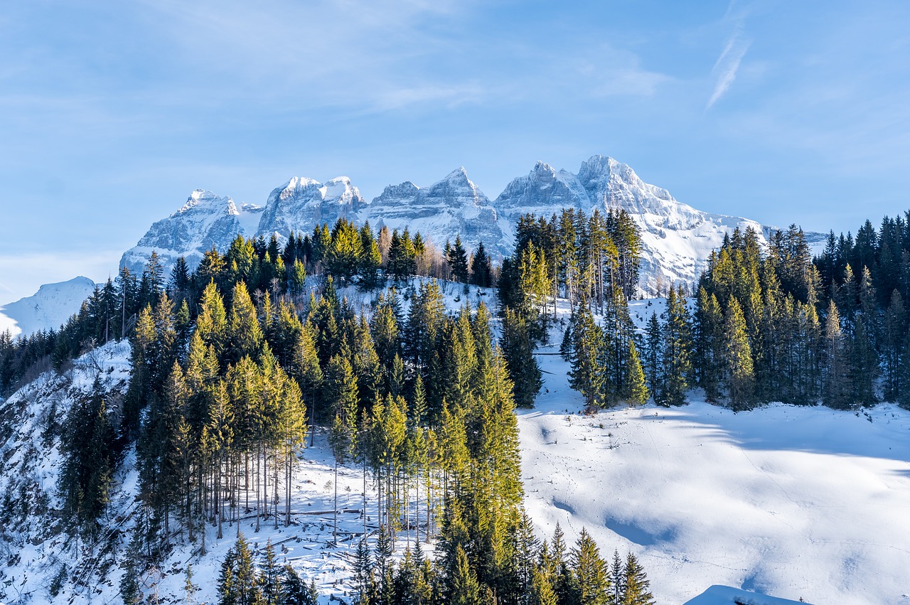 champoussin  switzerland  snow free photo