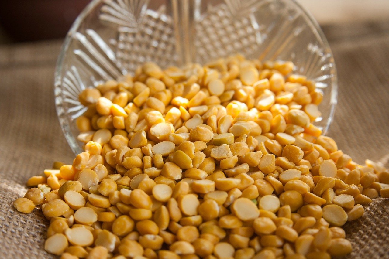 chana daal lentils free photo
