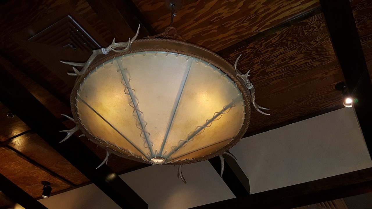 chandelier the horn of africa leather free photo