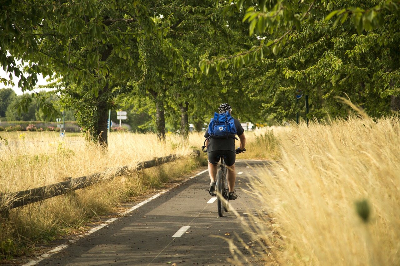 chandler motion bike qi free photo