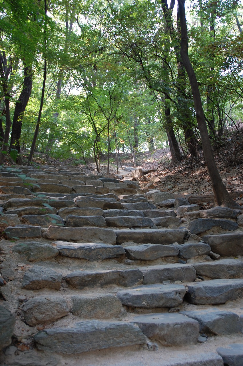 changdeokgung palace garden free photo