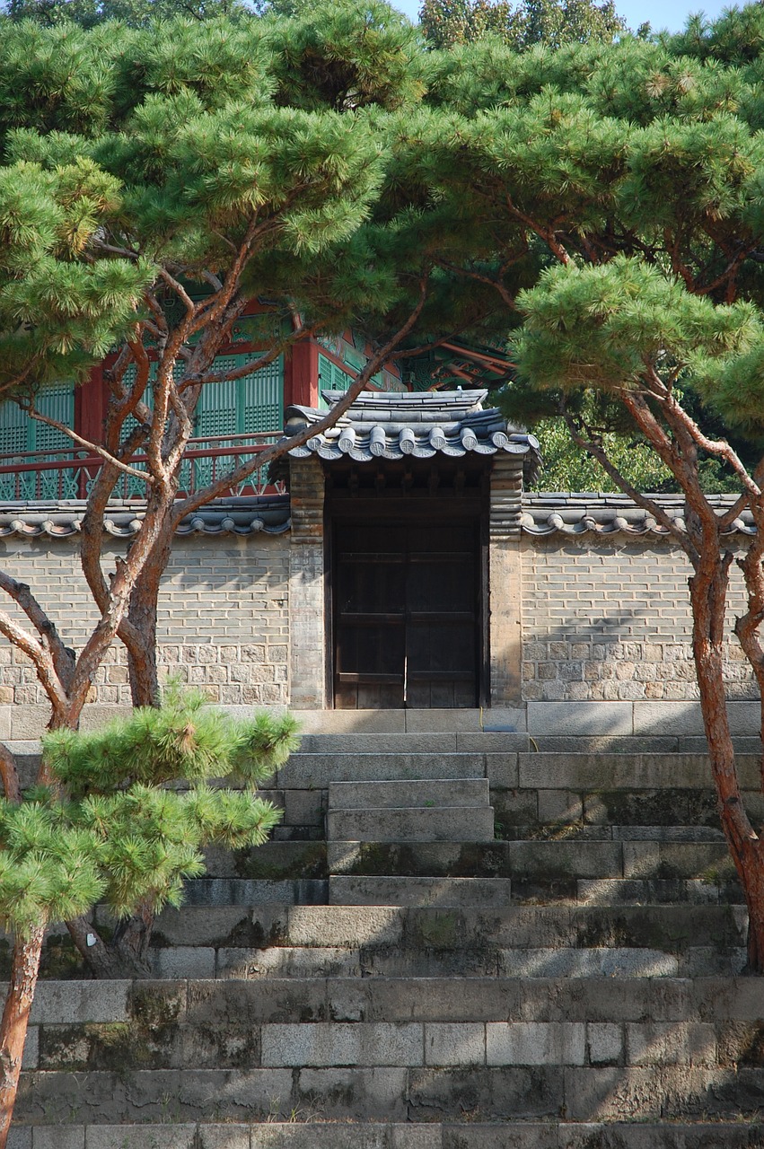 changdeokgung palace garden free photo