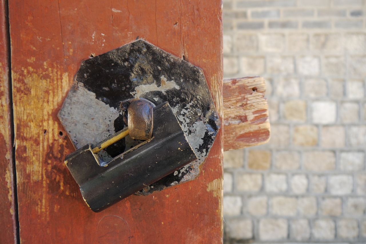 changdeokgung knocker lock free photo