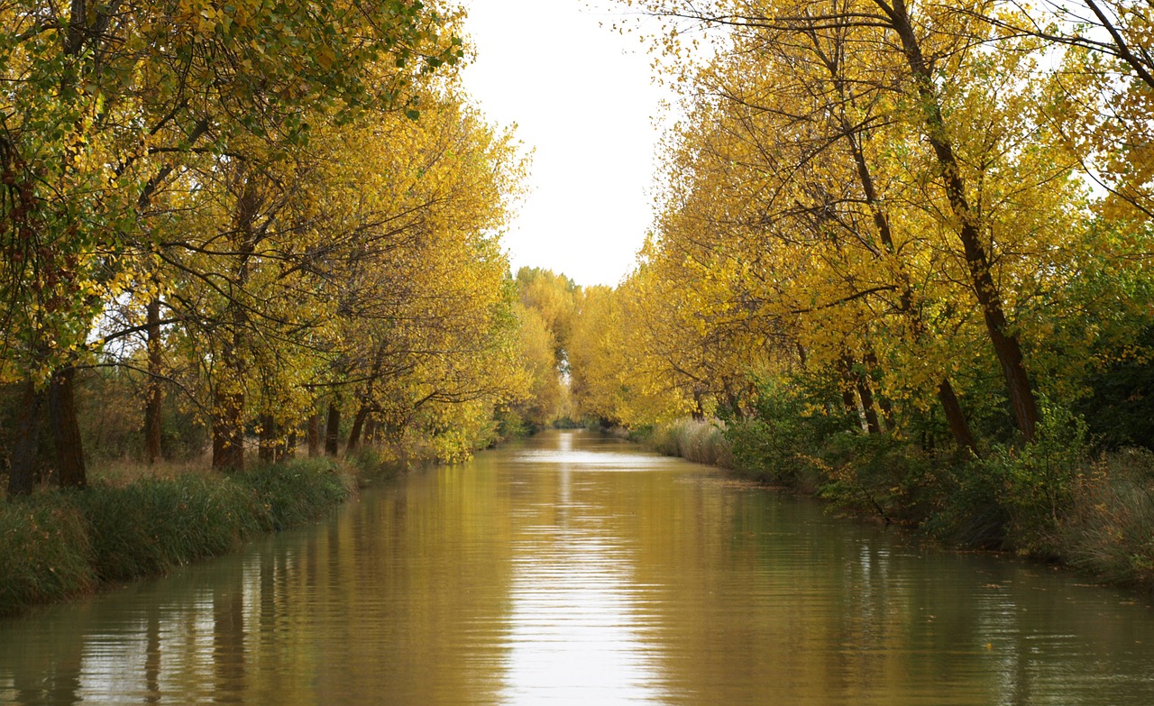 channel canal de castilla autumn free photo
