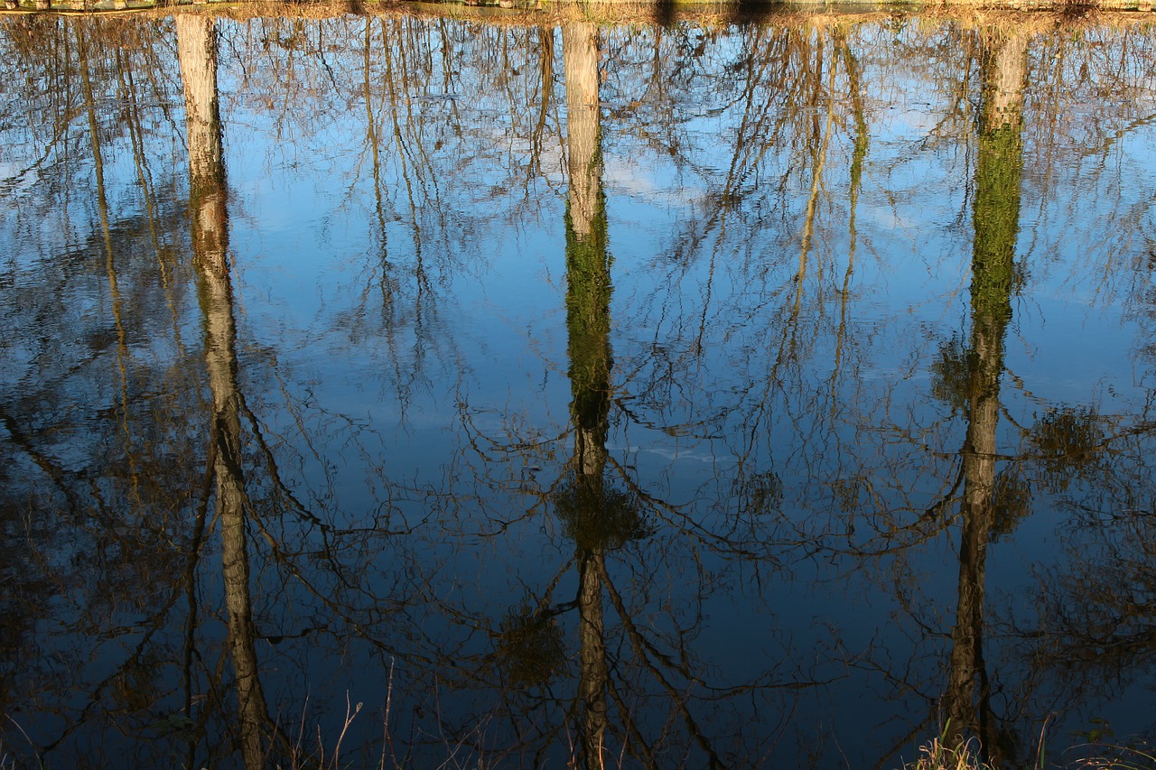 channel  reflection  nature free photo