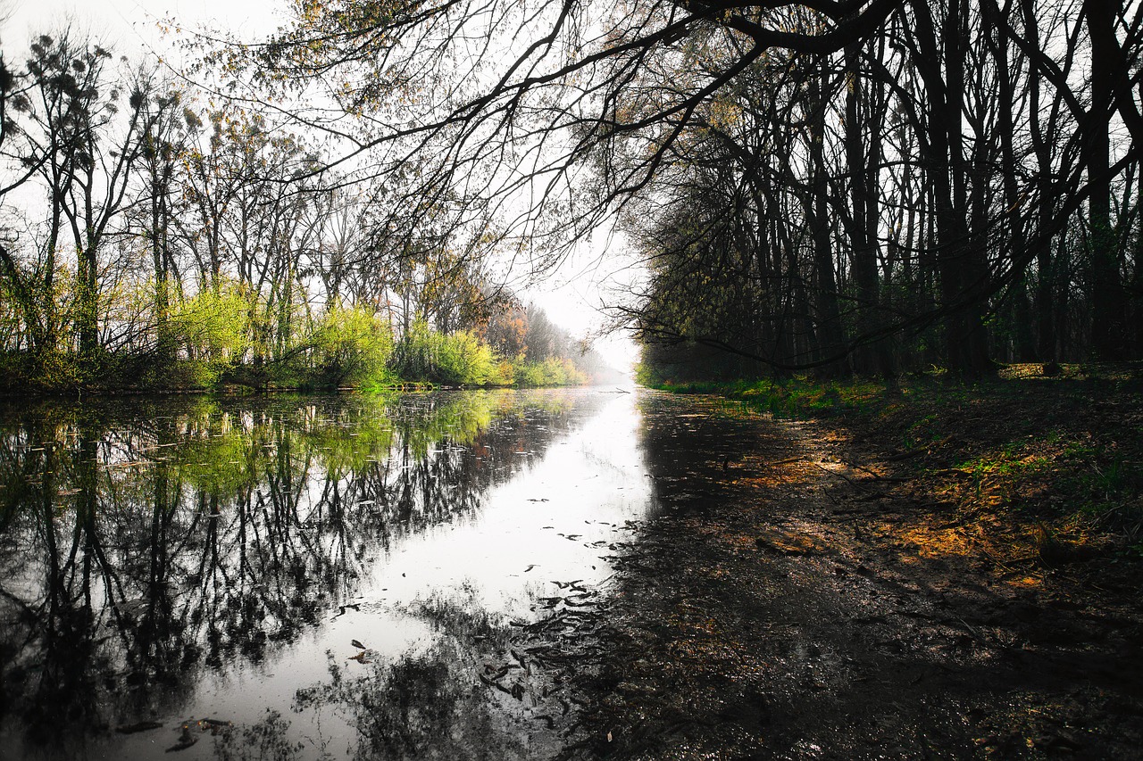 channel  river  water free photo