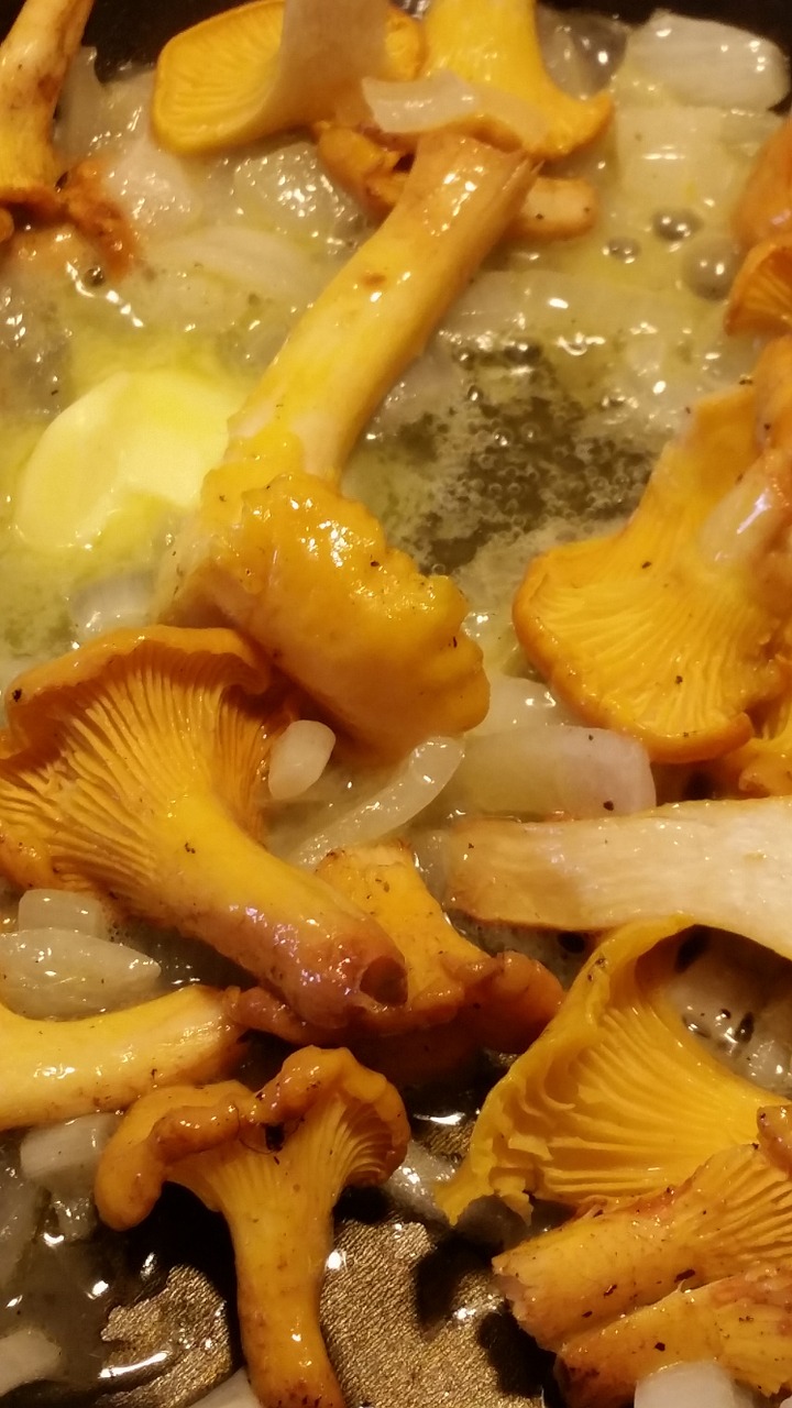 chanterelle mushrooms autumn mushrooms frying free photo