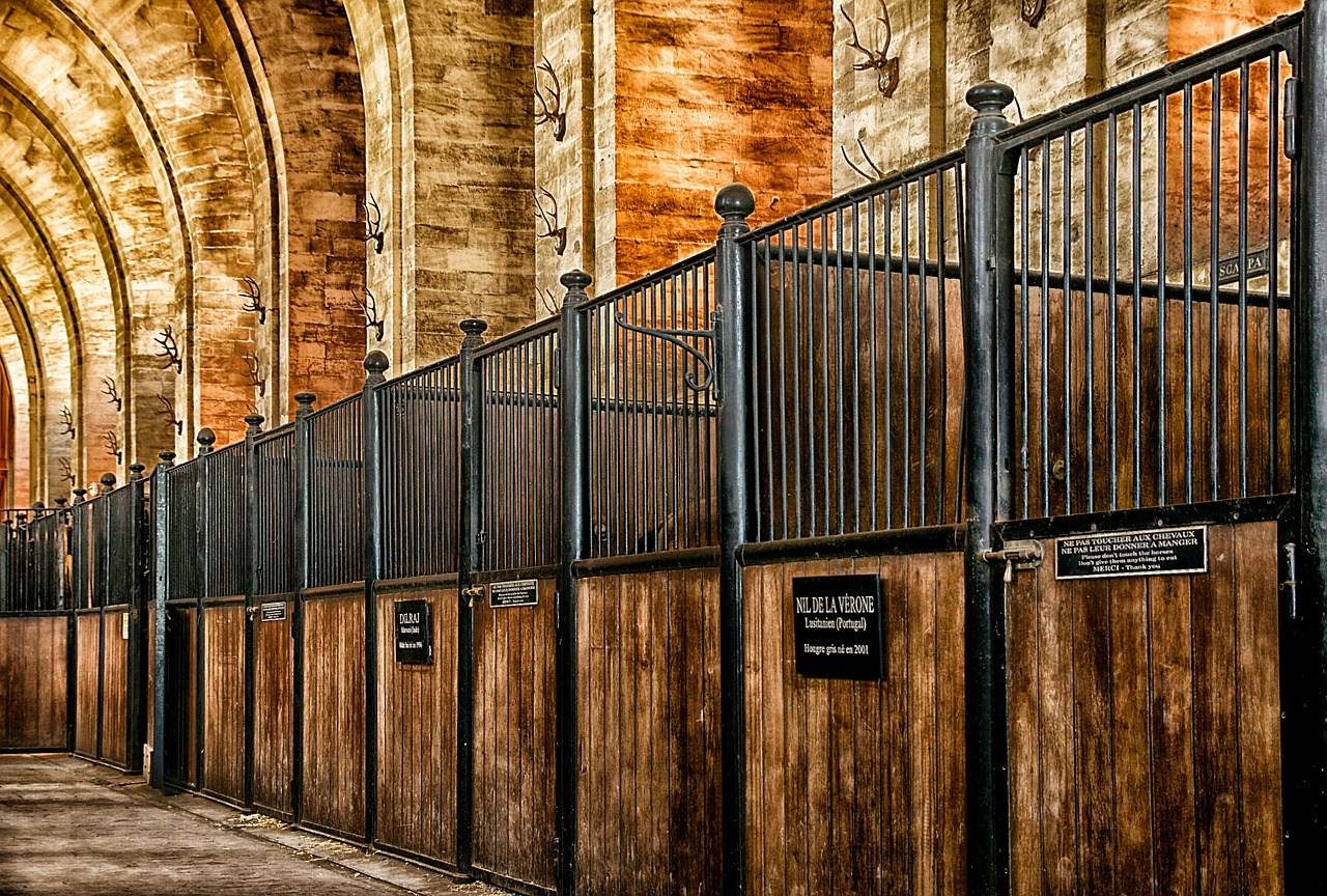 chantilly france stables free photo