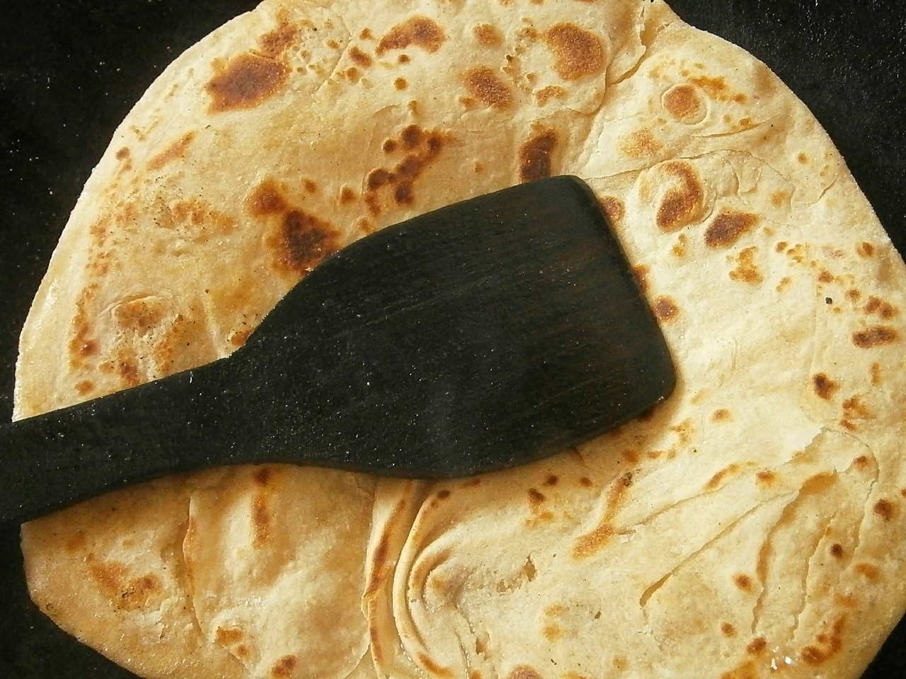 chapati bread indian free photo