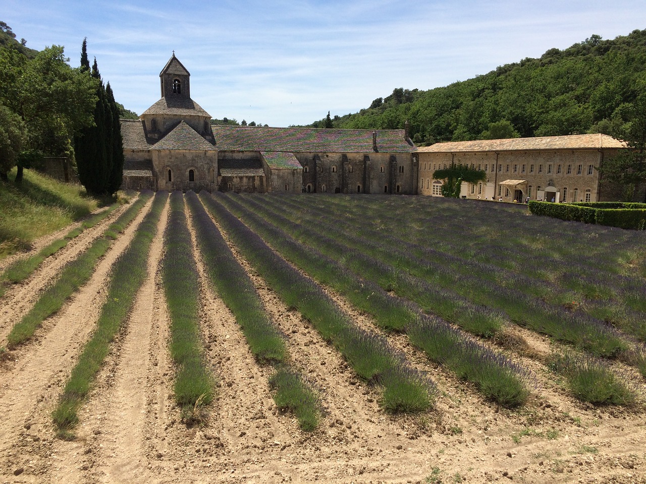 chapel field lavender free photo