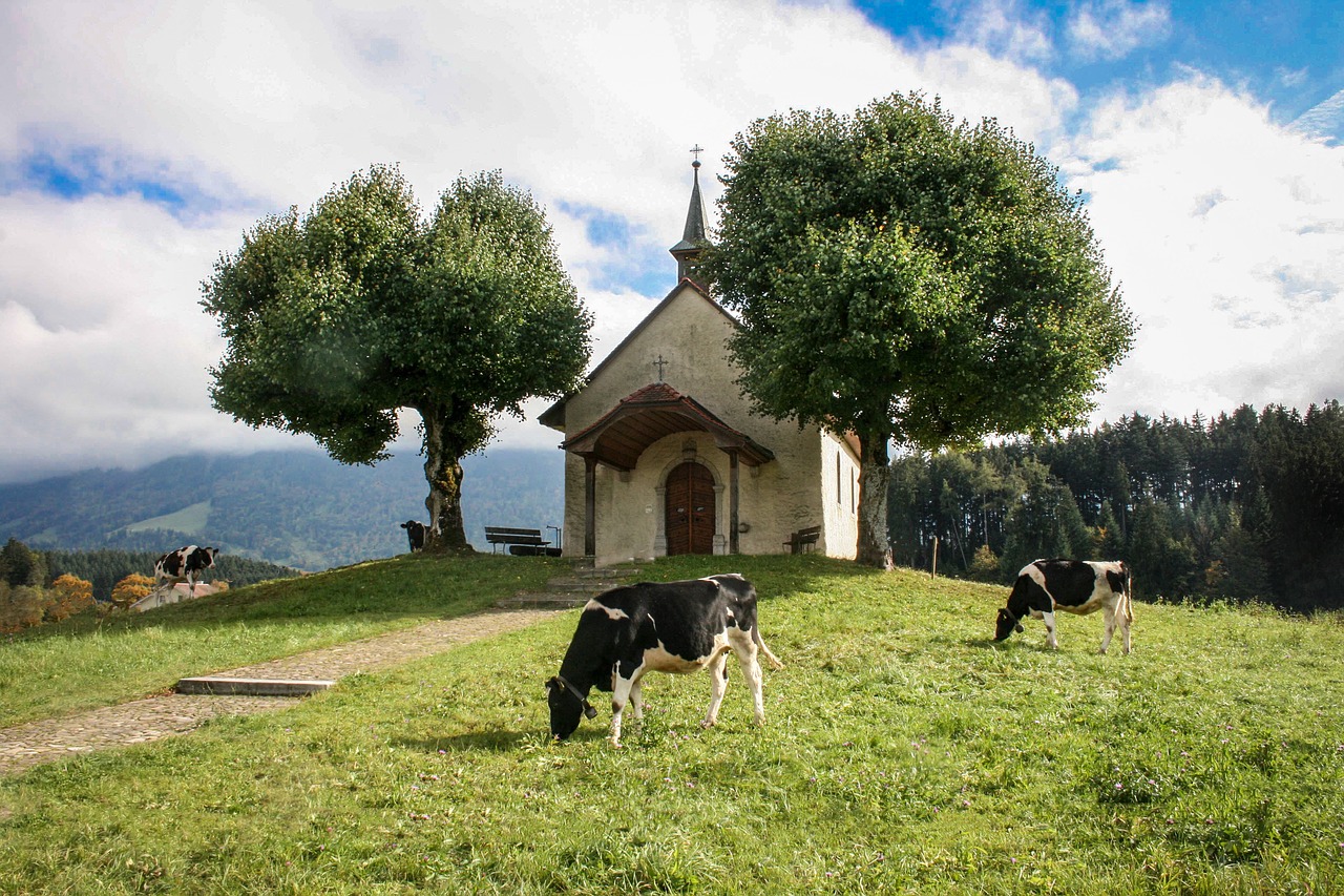 chapel trees landscape free photo