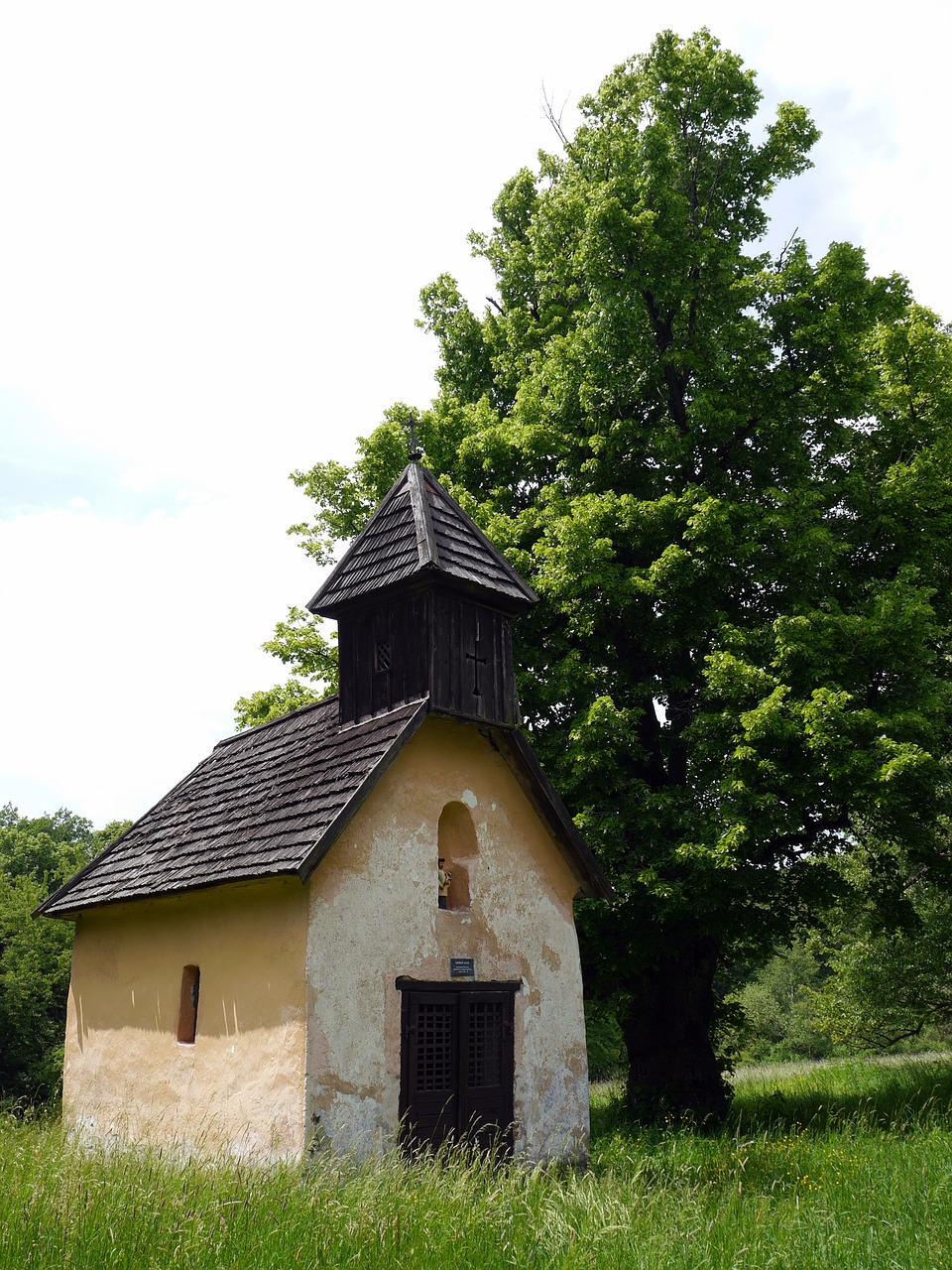 chapel tree grass free photo