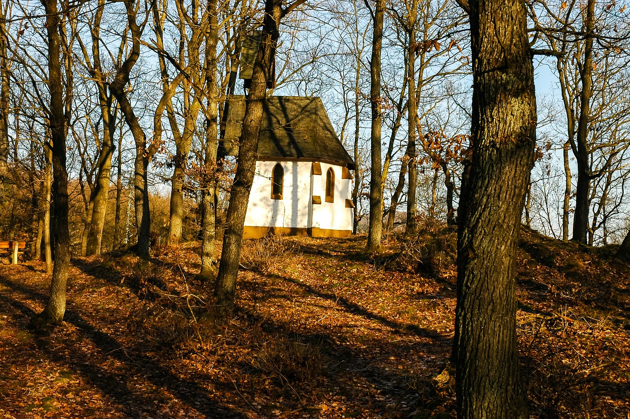 chapel small church autumn forest free photo