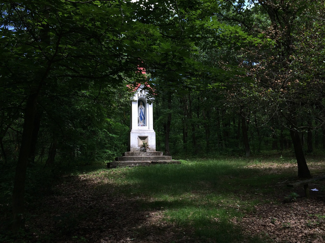 chapel forest shadow free photo