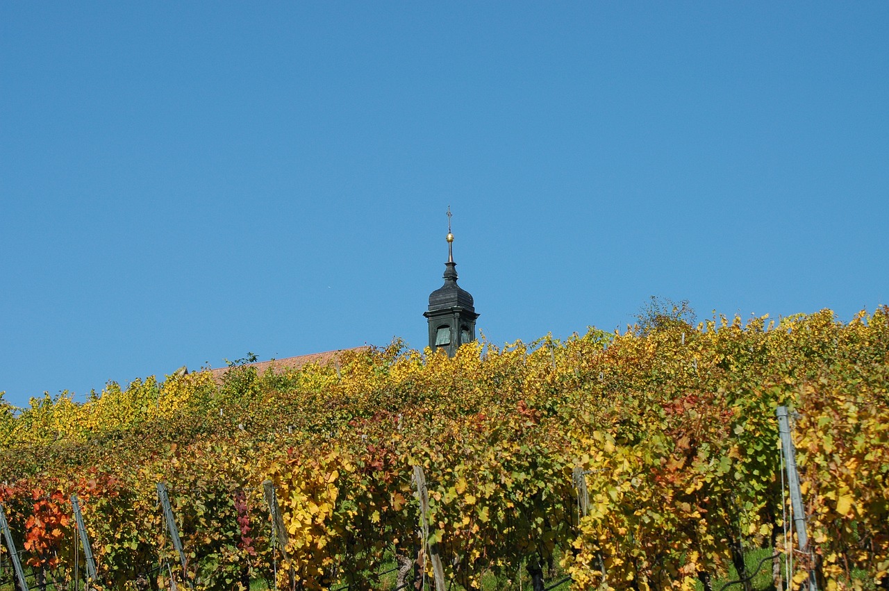 chapel vineyard spire free photo