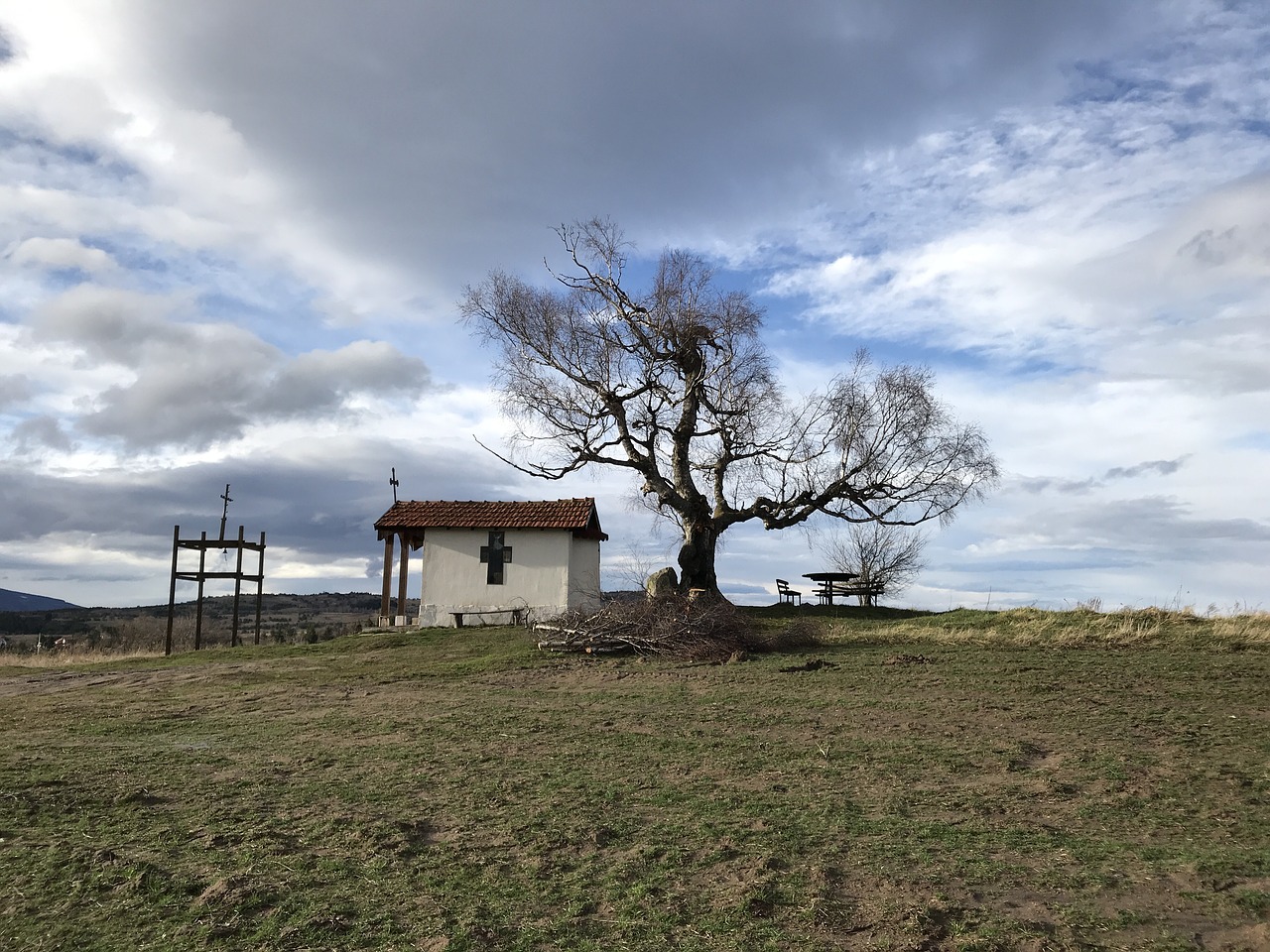 chapel tree old tree free photo