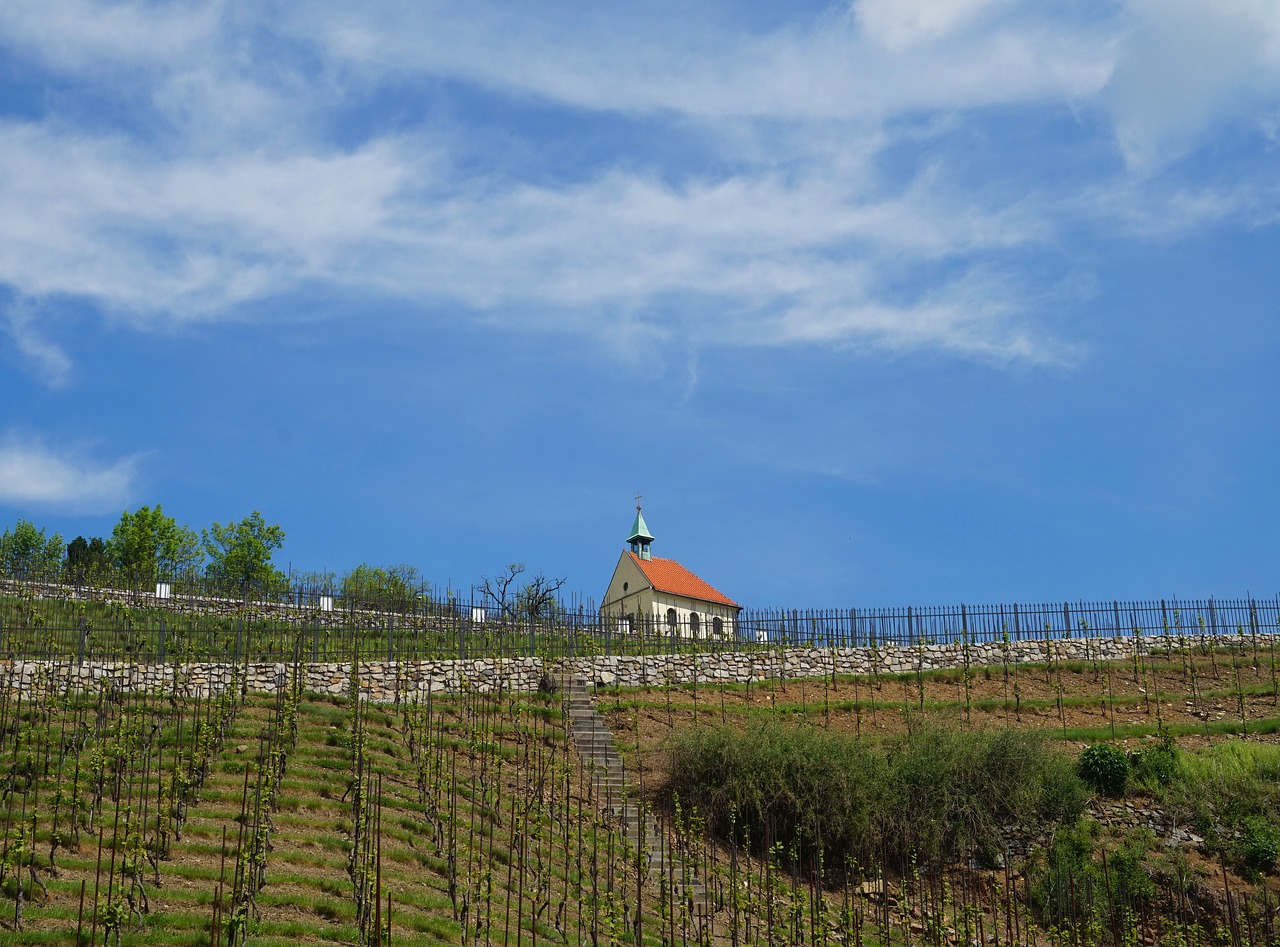 chapel  vineyard  prague free photo