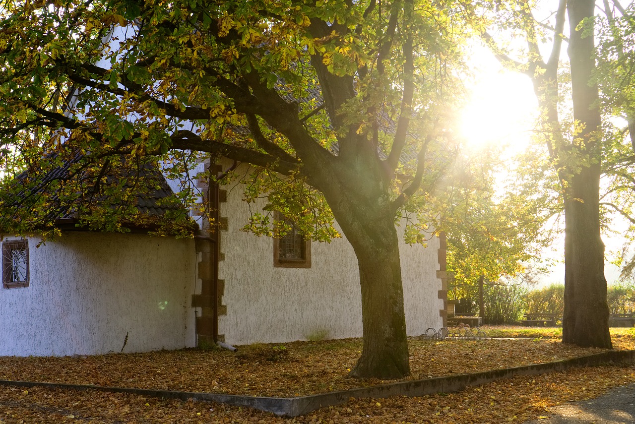 chapel  church  backlighting free photo