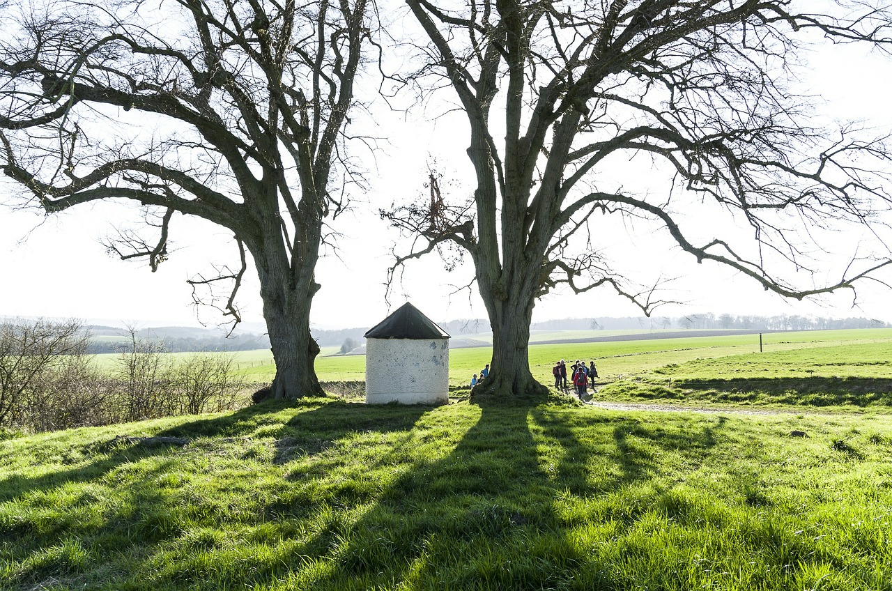 chapel condroz trees free photo