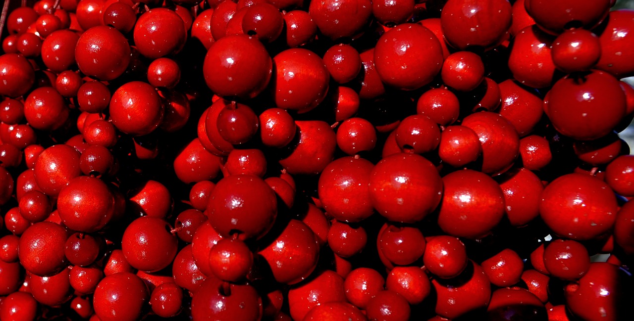 chaplet  red  ornament free photo